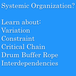 Systemic Org