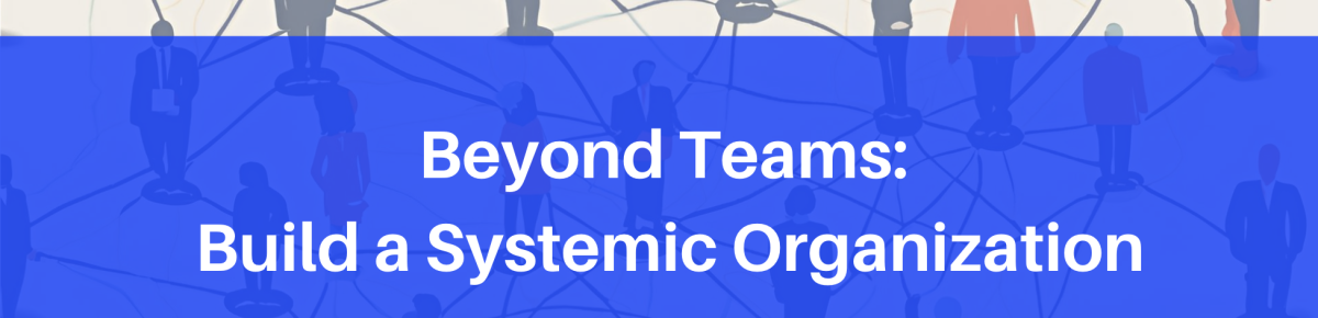 Beyond Teams: Build a Systemic Organization