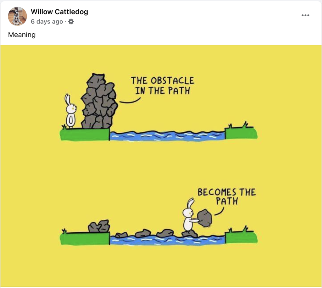 the obstacle becomes the path