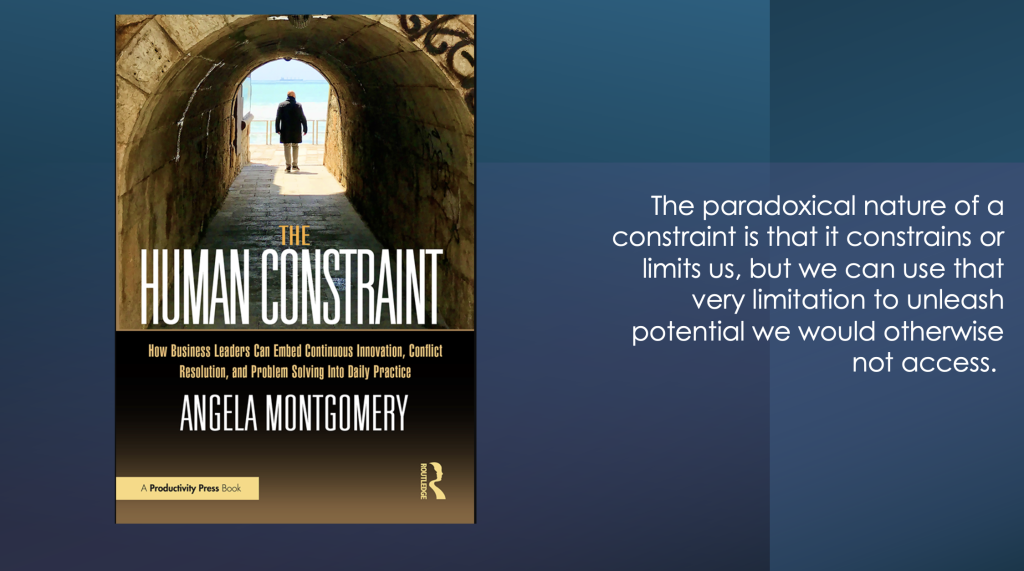 The Human Constraint business novel