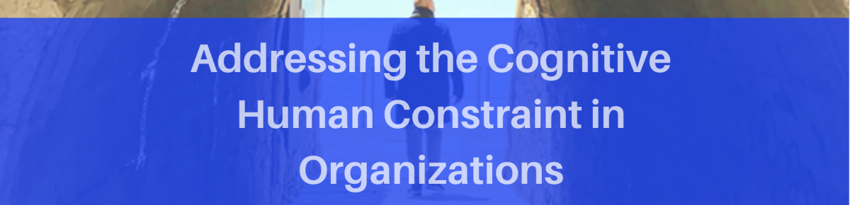 Addressing the Cognitive Human Constraint in Organizations