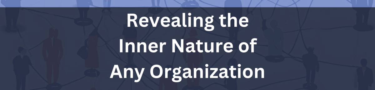 Revealing the inner nature of any organization to create a leap in performance