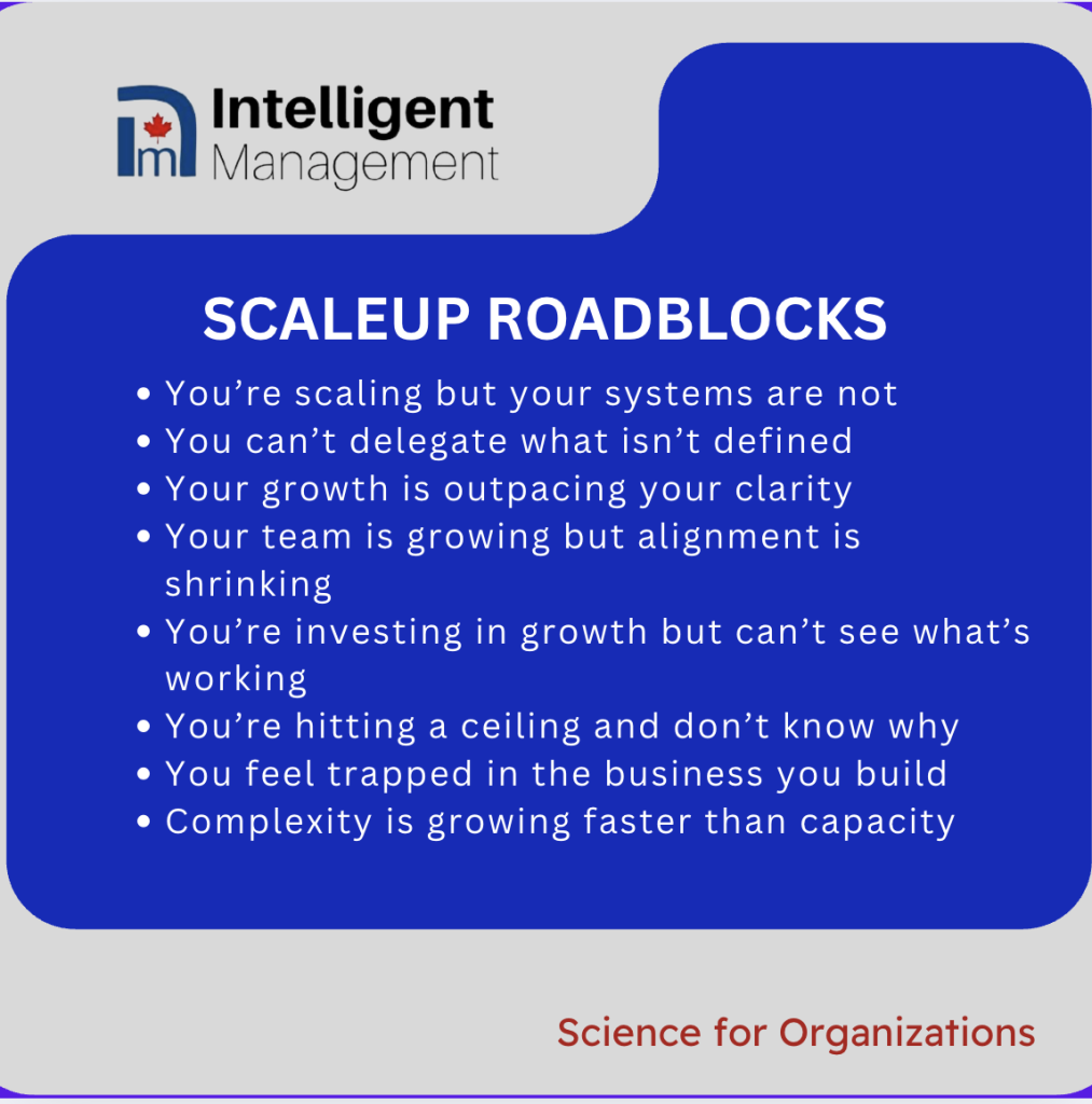 Roadblocks of a ScaleUp Company