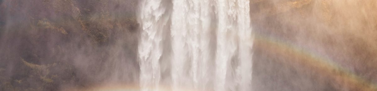 From Exile to Freedom: Transform Your Organization’s Potential into Reality